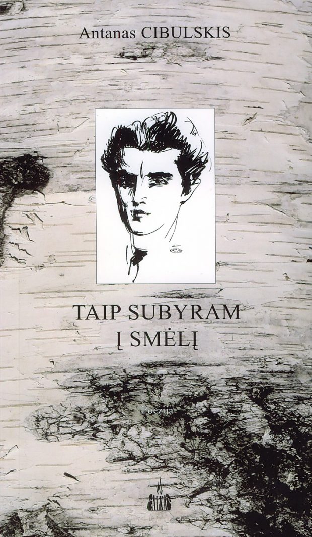 DAR TIKĖKIM: TAIP SUBYRAM Į SMĖLĮ. POEZIJA