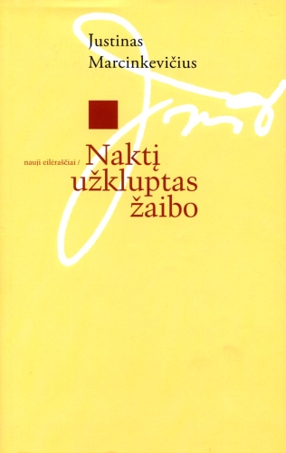 Poezijos žaibas: Naktį užkluptas žaibo. Nauji eilėraščiai