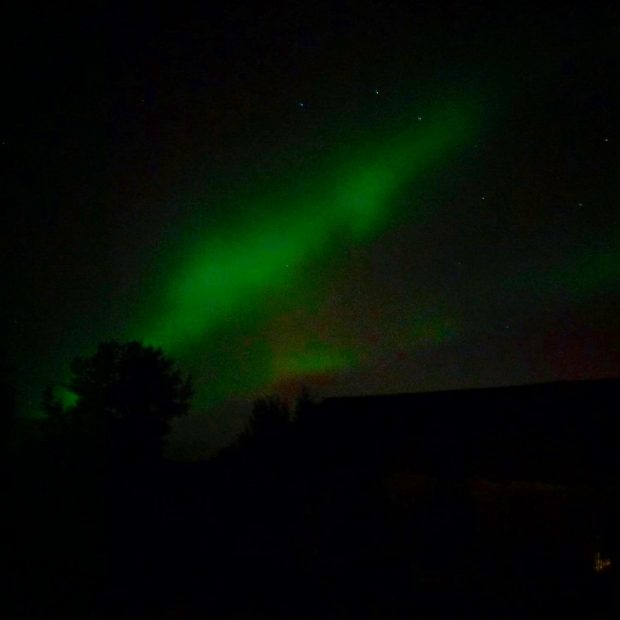 Onutės Gaidamavičiūtės fotografija