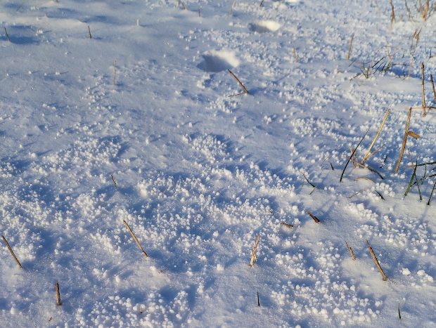 Onutės Gaidamavičiūtės fotografija